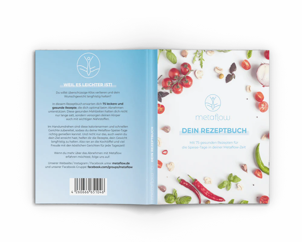 MetaFlow-Rezeptbuch - Image 3